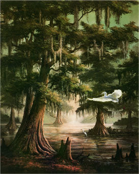 Cypress